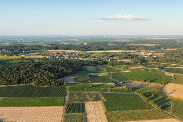 Segré en anjou bleu