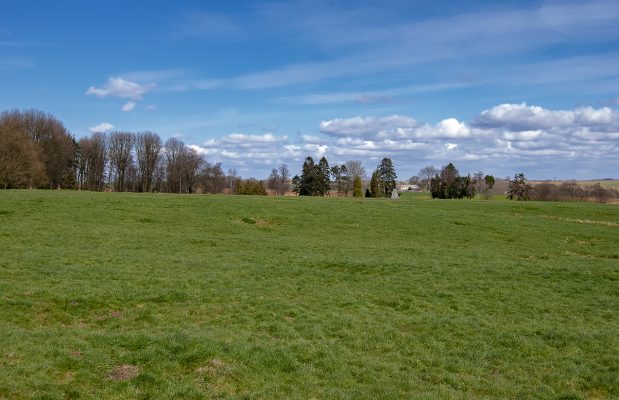 Douai