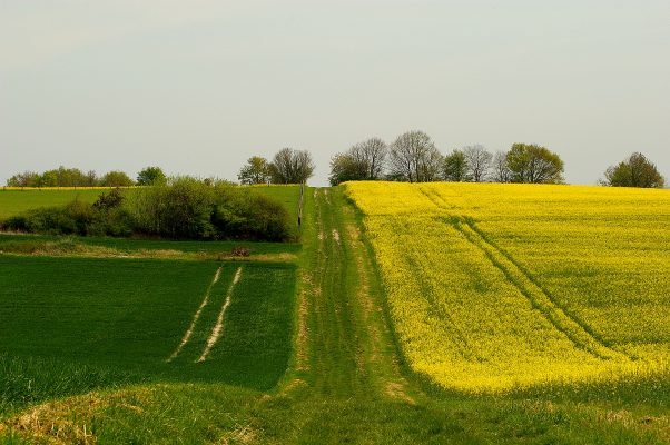 Artannes sur Indre