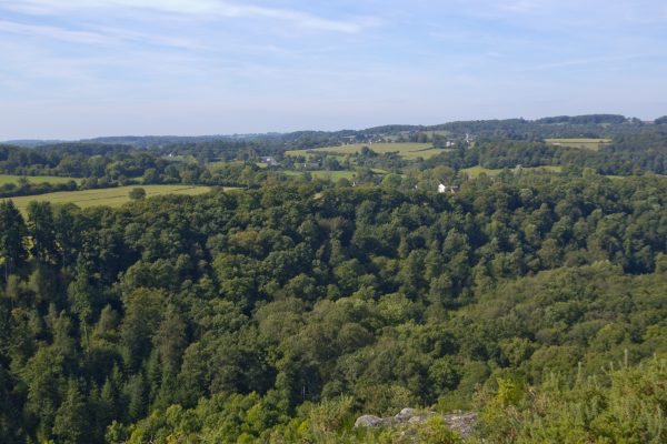 Flers