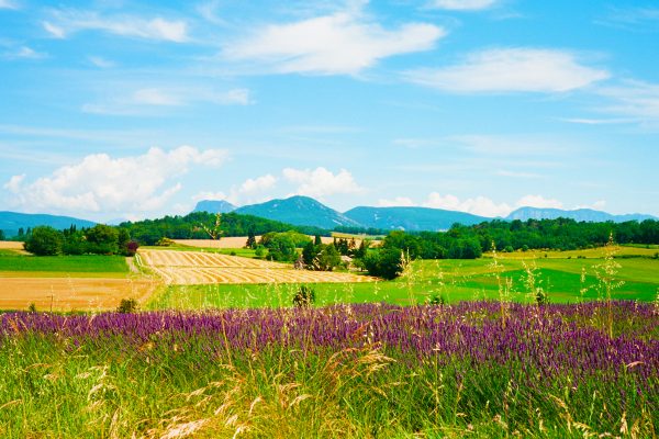 Cavaillon Nord-Robion-l’Isle sur Sorgue