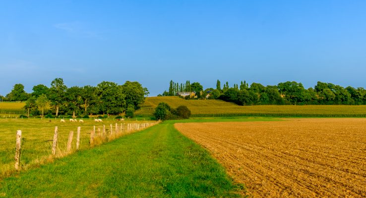 Mayenne