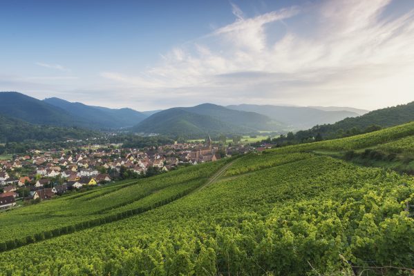 Norroy-le-Veneur