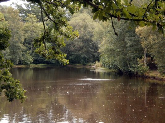 Bain de Bretagne