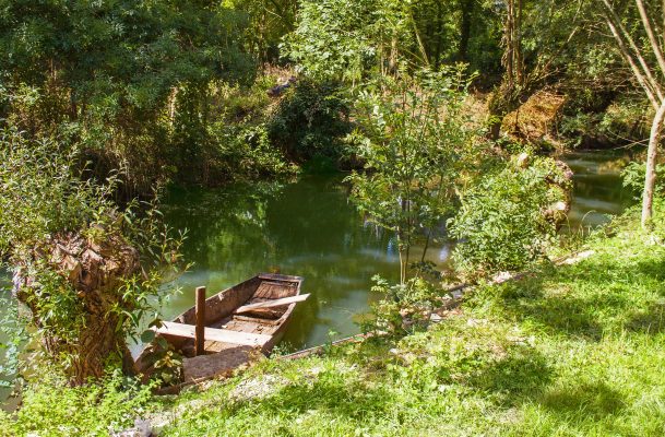 Niort- Marais Poitevin