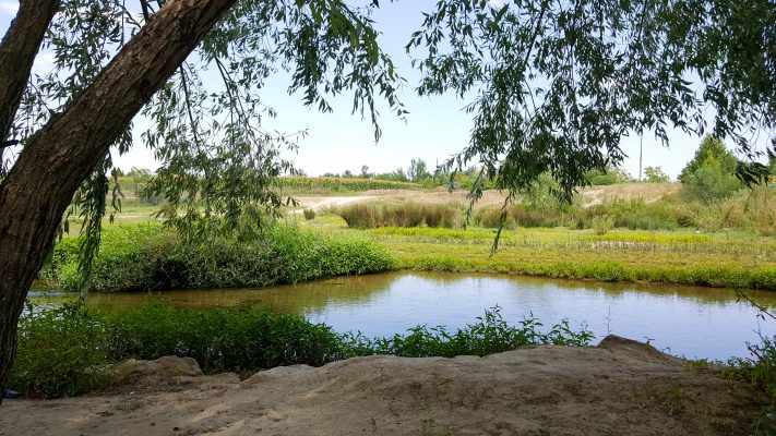Montgaillard-Lauragais
