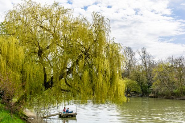 Le Perreux sur Marne