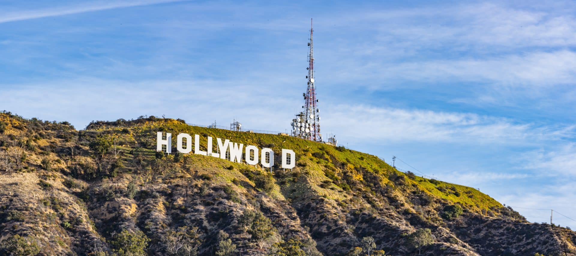 acteurs, succès, cinéma, stars, hollywood, actrices, cinéma, télévision, audiovisuel, oscar, césar, golden globe, récompenses, parcours, théâtre, bilan de compétences, ORIENTACTION