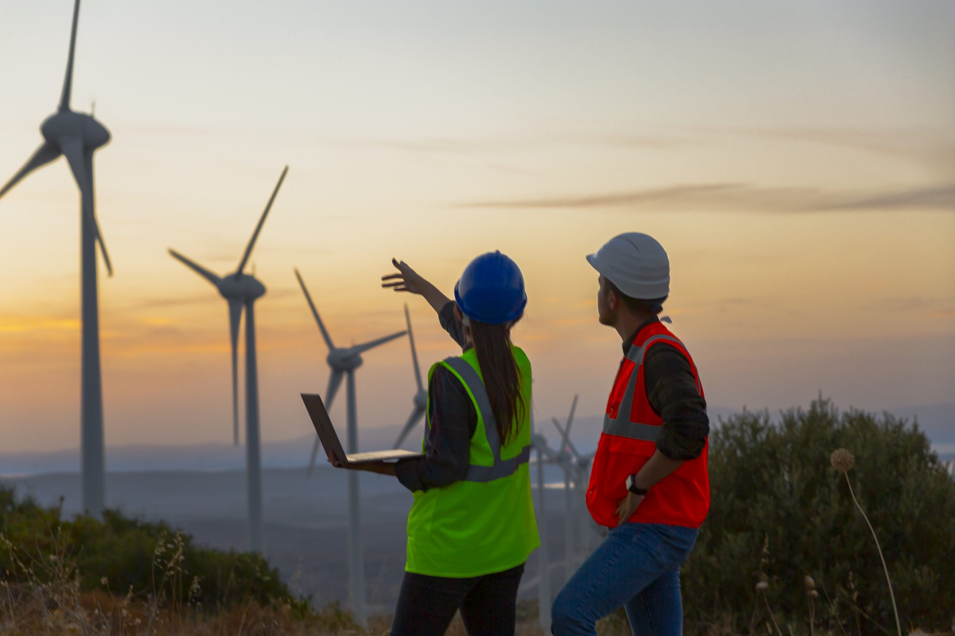 métier, reconversion, paysagiste, reconversion professionnelle, créativité, sens esthétique, écologie, environnement, végétal, architecte, bilan de compétences, ORIENTACTION