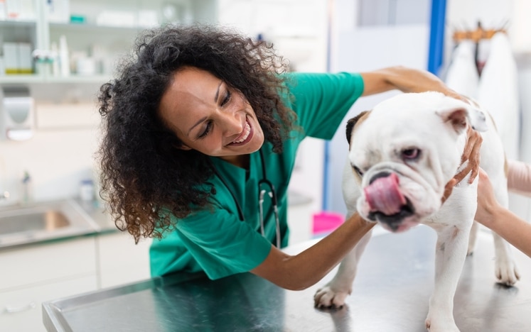 Assistant vétérinaire, Clinique vétérinaire, Soins aux animaux, Médical, Chirurgie vétérinaire, Formation spécialisée, Relation clientèle, Animaux domestiques, Gestion de cabinet, Prélèvements médicaux, Suivi patient, Hygiène et propreté, Gestion des stocks, Premiers soins, Equipements vétérinaires, Conseils en santé animale, Vaccination, Pathologies animales, Radiologie vétérinaire, Accueil, Gestion des urgences, Stérilisation du matériel, Alimentation animale, Education et comportement, Anatomie animale.