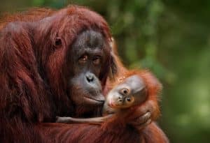 Histoire inspirante, importance de penser aux aimés, amour, connexion émotionnelle, bien-être familial, gratitude, affection, relations significatives, lien familial, pensées positives, altruisme, tendresse, soutien émotionnel, relations enrichissantes, valeurs familiales, attention bienveillante, coeur ouvert, générosité, amour inconditionnel, émotion partagée, dévouement, liens du cœur, reconnaissance, fidélité, union affective.