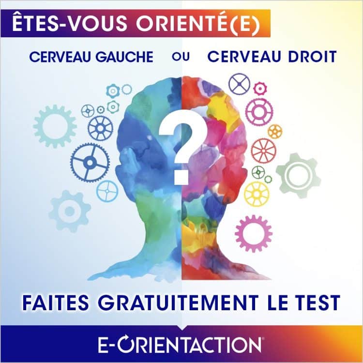 Test d'orientation du cerveau, Cerveau gauche, Cerveau droit, Neurologie, Psychologie, Test de personnalité, Hémisphère cérébral, Analytique, Créativité, Logique, Intuitif, Cerveau et comportement, Test psychologique, Intelligence, Cognition, Pensée latérale, Cerveau et apprentissage, Sciences cognitives, Profil cognitif, Perception, Pensée abstraite, Mémoire, Pensée linéaire, Résolution de problèmes, Test de dominance cérébrale.