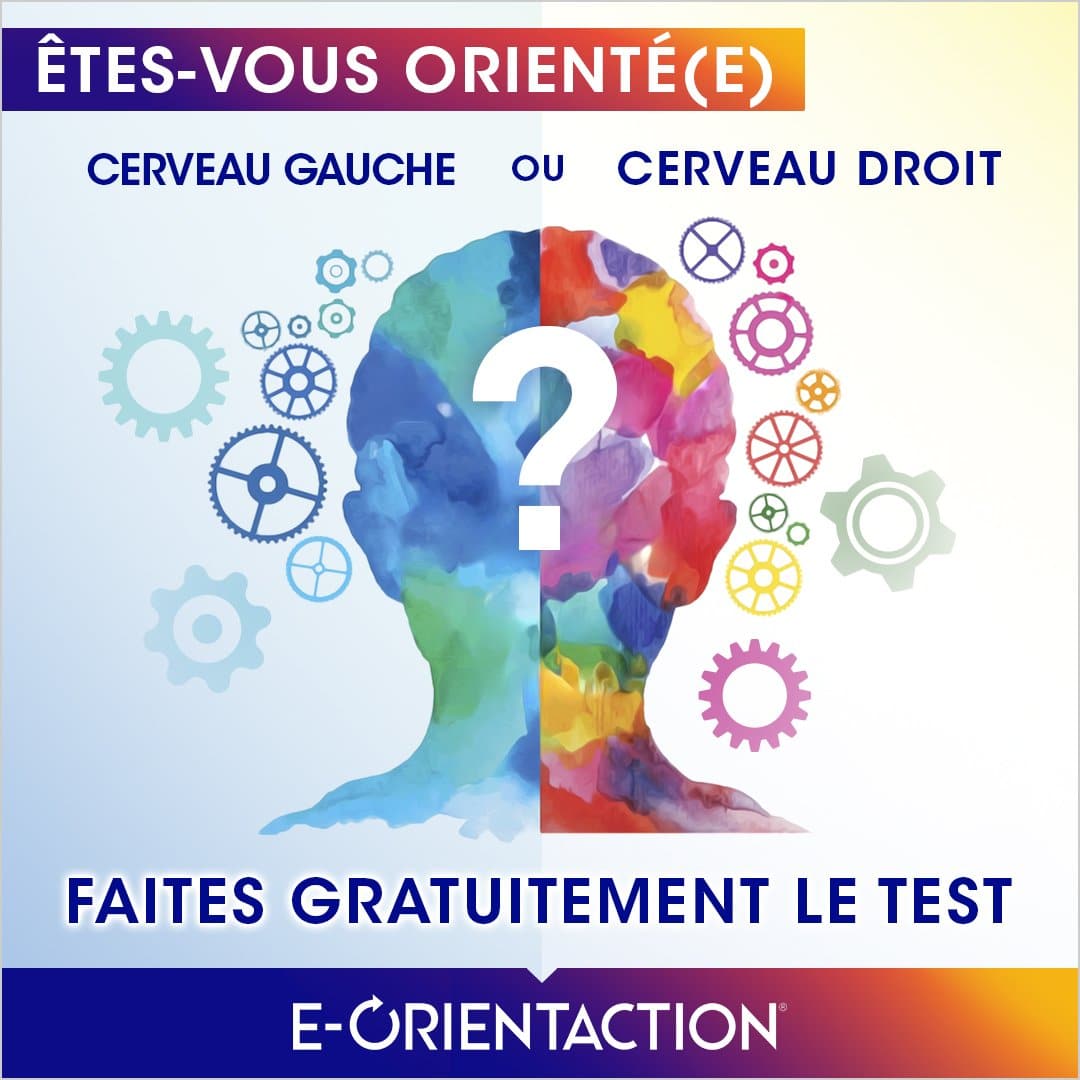Test Êtesvous orienté cerveau droit ou cerveau gauche — free download