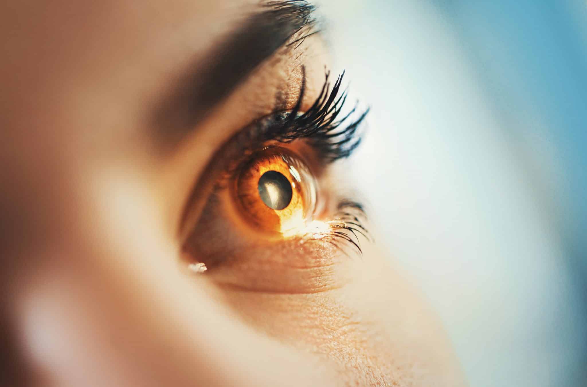Orthoptiste, métier, reconversion professionnelle, possibilités, bilan de compétences, ORIENTACTION