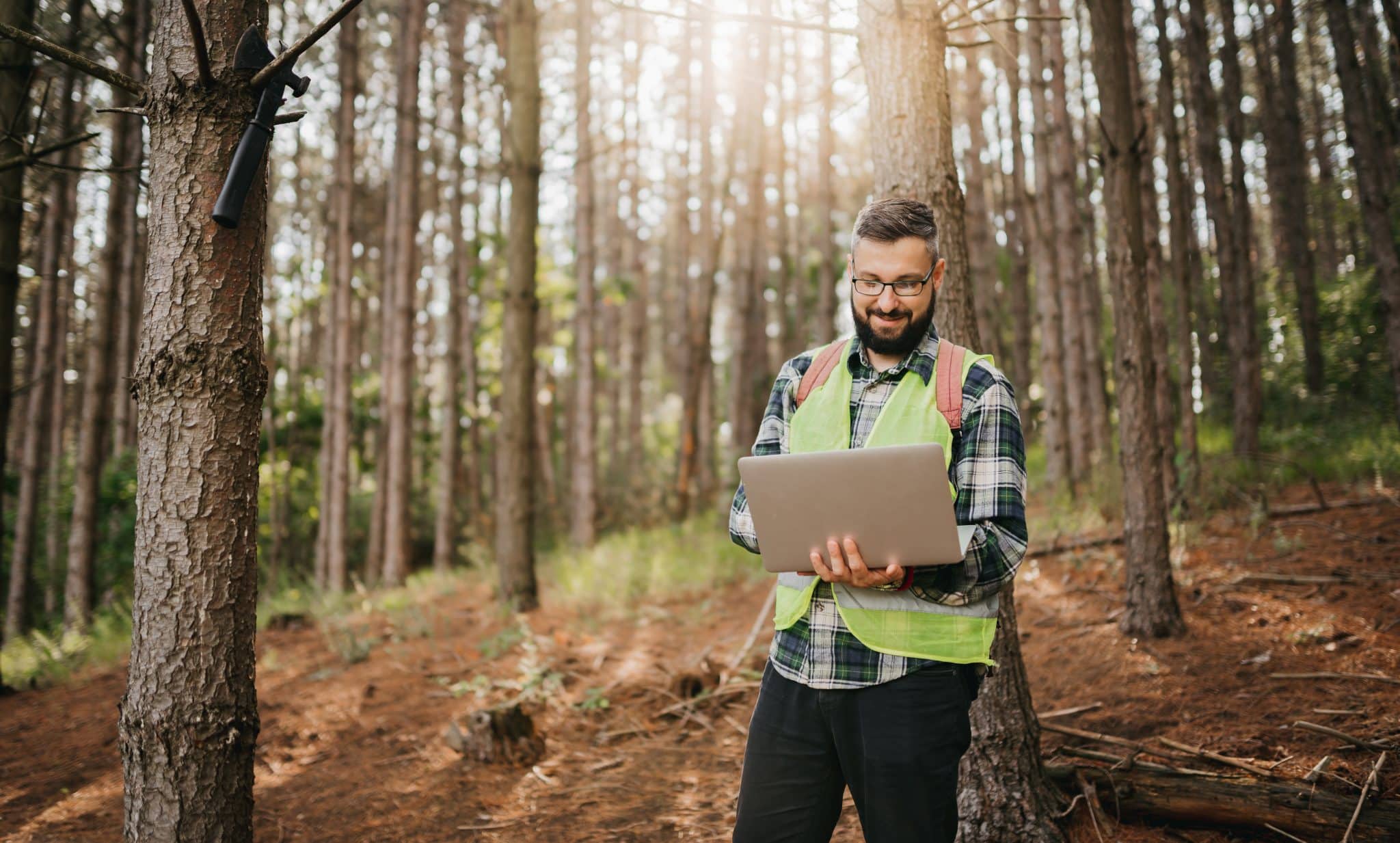 métiers utiles, planète, société, environnement, RSE, forestier, apiculteur