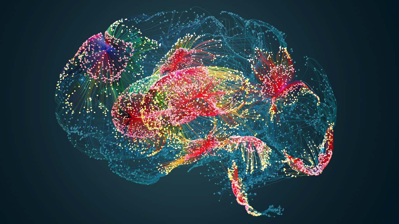 Vieillissement cérébral, Santé du cerveau, Étude neurologique, Déclin cognitif, Recherche sur le cerveau, Capacité de réflexion, Vieillissement mental, Neuroscience, Cerveau et âge, Mémoire et âge, Fonctions cognitives, Processus de pensée, Santé neurologique, Ralentissement psychomoteur, Prévention Alzheimer, Démence, Maladies neurodégénératives, Psychologie du vieillissement, Temps de réaction, Capacité de décision, Université de Heidelberg, Test cognitif, Préjugés sociétaux, Évolution cognitive, Longévité cérébrale.