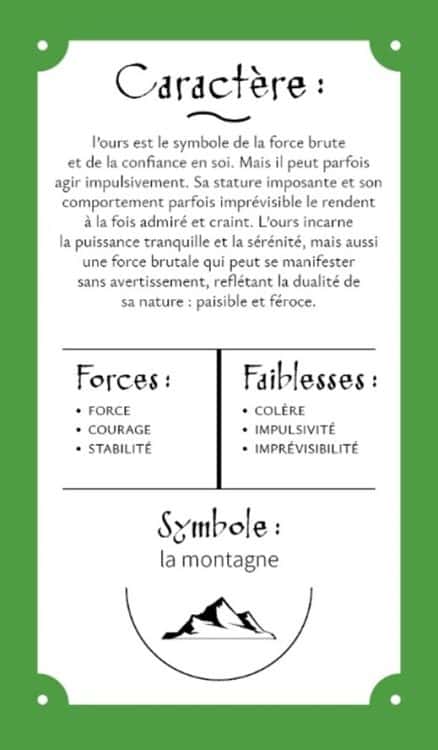 Ours, Animal totem, Signification, Force, Protection, Courage, Sagesse, Introspection, Indépendance, Puissance, Leadership, Survie, Nature, Confiance, Stabilité, Paix intérieure, Solitude, Autorité, Renouveau, Instinct, Territoire, Résilience, Spiritualité, Patience, Hibernation