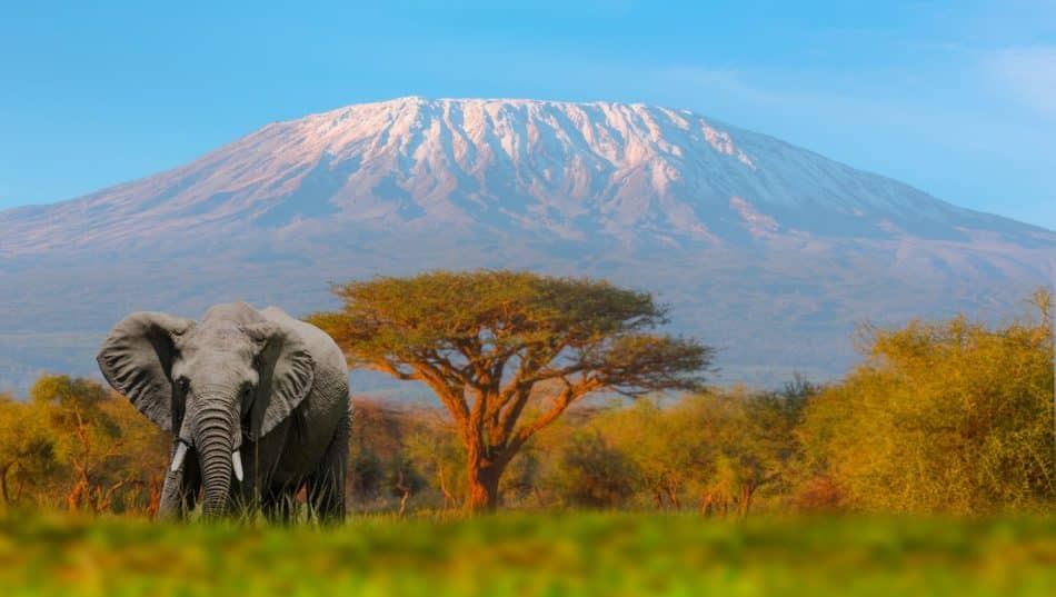 test de destination de voyage, choisir un continent pour voyager, destinations de voyage, voyage en Europe, voyage en Asie, voyage en Afrique, voyage en Amérique du Nord, voyage en Amérique du Sud, voyage en Océanie, quiz de destination, planification de voyage, guide de voyage, meilleur continent pour voyager, où voyager ensuite, choix de destination, vacances internationales, exploration de continent, tourisme mondial, culture mondiale, aventures de voyage, continents du monde, découvertes de voyage, suggestions de voyage, tourisme durable, conseils de voyage.