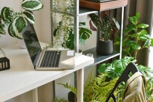 plantes de bureau, réduction du stress, augmentation de la productivité, bien-être, qualité de l'air, concentration, créativité, environnement de travail, santé mentale, engagement des employés, aménagement de bureau, plantes vertes, ambiance de travail, satisfaction au travail, moral des employés, espaces de travail, ORIENTACTION, cohésion d'équipe, absences pour maladie, performance, motivation, ergonomie, détente, purification de l'air, productivité des employés.