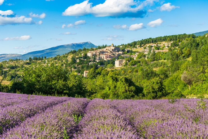 bilan de compétences, outplacement, reclassement, orientaction, chance, cibc, aksis, vast rh, afpa, cnam, catalys conseil, garance et moi, sensei, aix en provence, anais guesdon