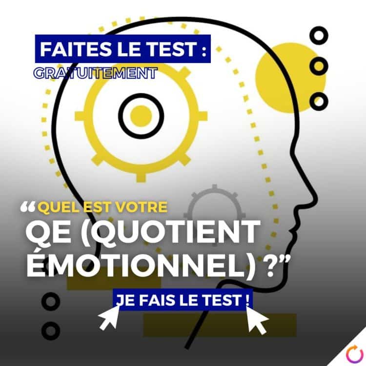 quotient émotionnel, QE, test QE, intelligence émotionnelle, gestion des émotions, empathie, gestion du stress, relations interpersonnelles, prise de décision, conscience de soi, expression de soi, résilience, compétences émotionnelles, bien-être, santé mentale, développement personnel, test psychologique, évaluation personnelle, gestion des conflits, communication, assertivité, formation gestion des émotions, ORIENTACTION, Dr. Emeric Lebreton, équilibre émotionnel, performance professionnelle.