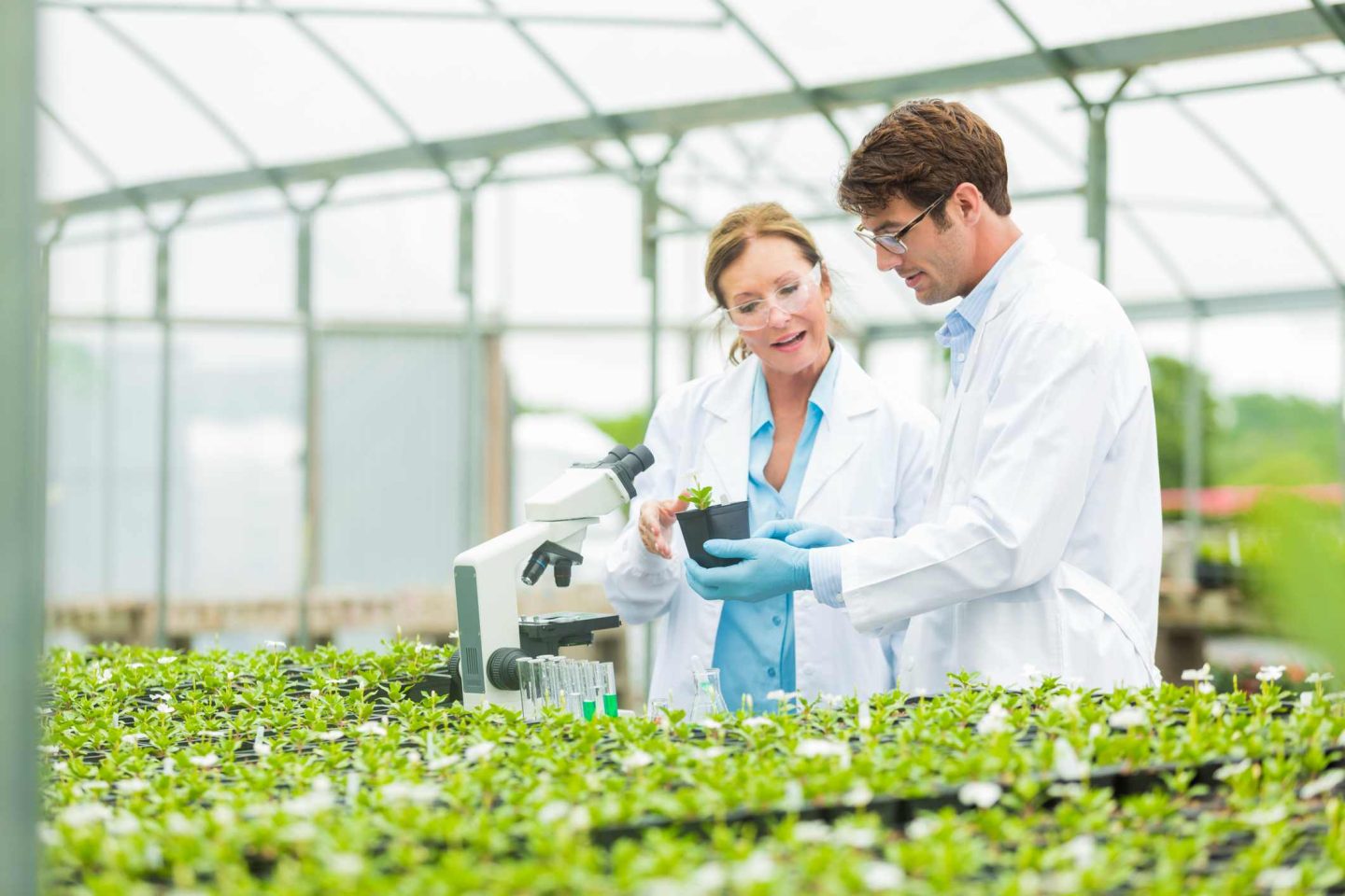 nouveaux métiers 2025, métiers émergents rentrée, tendances emploi 2025, professions du futur, compétences futures 2025, innovation métiers, marché du travail émergent, carrières innovantes, secteurs porteurs 2025, transformation digitale métiers, économie verte métiers, intelligence artificielle emploi, métiers tech 2025, santé du futur, énergies renouvelables emploi, cybersécurité métiers, data science 2025, bien-être professionnel émergent, métiers du numérique, formation aux nouveaux métiers, reconversion vers nouveaux métiers, études prospectives métiers, métiers responsables 2025, futur du travail, tendances recrutement émergent