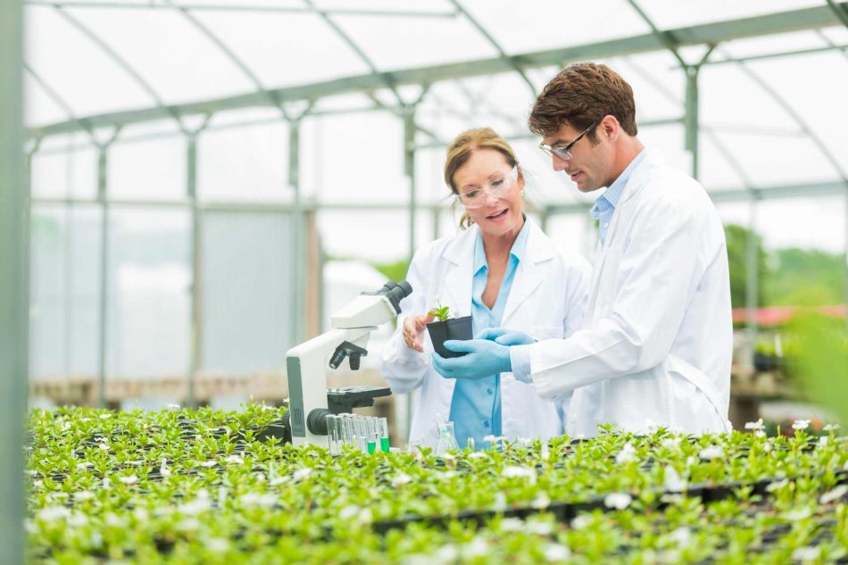 nouveaux métiers 2025, métiers émergents rentrée, tendances emploi 2025, professions du futur, compétences futures 2025, innovation métiers, marché du travail émergent, carrières innovantes, secteurs porteurs 2025, transformation digitale métiers, économie verte métiers, intelligence artificielle emploi, métiers tech 2025, santé du futur, énergies renouvelables emploi, cybersécurité métiers, data science 2025, bien-être professionnel émergent, métiers du numérique, formation aux nouveaux métiers, reconversion vers nouveaux métiers, études prospectives métiers, métiers responsables 2025, futur du travail, tendances recrutement émergent