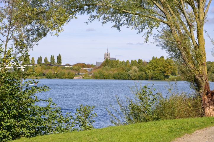 bilan de compétences, outplacement, reclassement, orientaction, chance, cibc, aksis, vast rh, afpa, cnam, catalys conseil, garance et moi, sensei, saint ulphace, nathalie bernard brunel